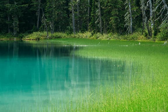 Klimaschutz aktiv mitgestalten