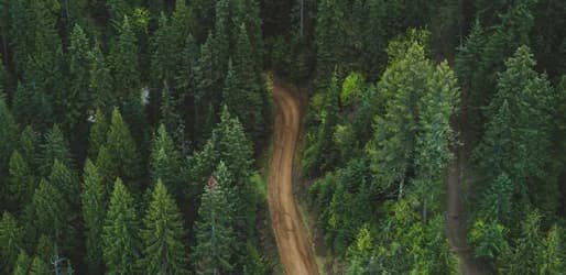 Land- und forstwirtschaftliche Flächen verpachten