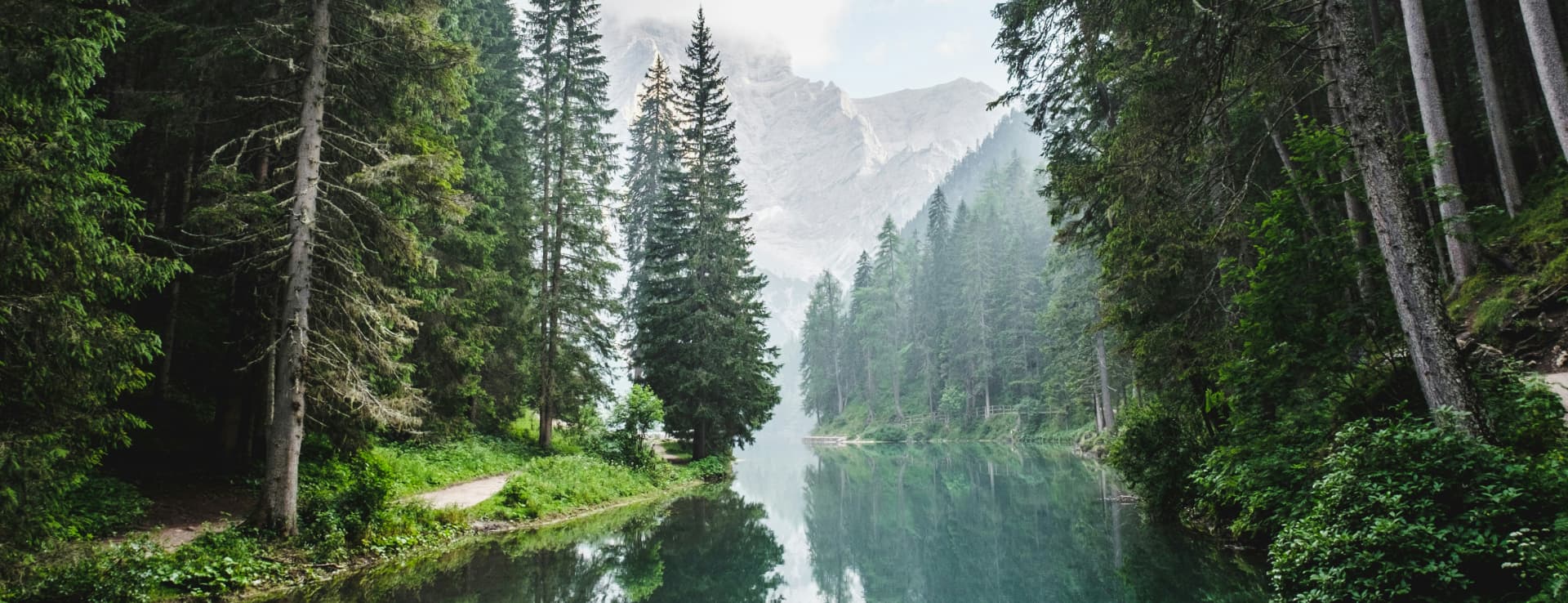 Klimaschutzprojekte zur Klimaresilienz: Was das für Waldbesitzer bedeutet