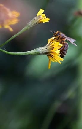 Ausgleichsflächen: finden oder anbieten