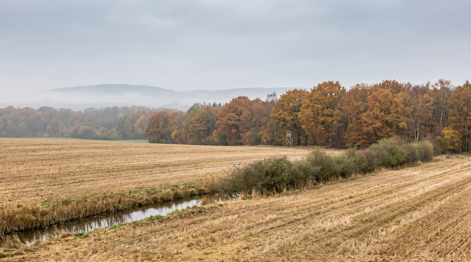 Wie wird die Jagdpacht berechnet?