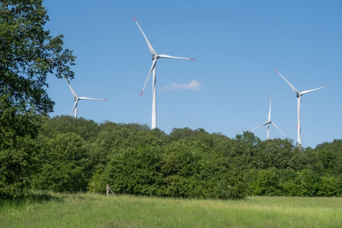 Wind turbines in a field