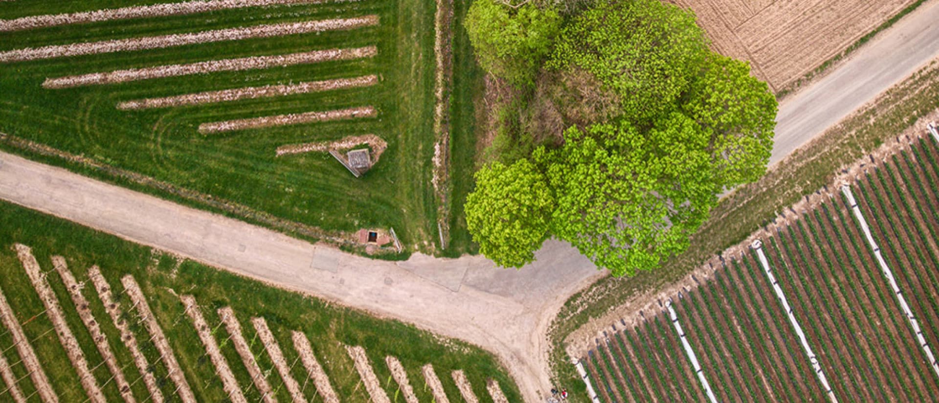 Check your land's potential for free