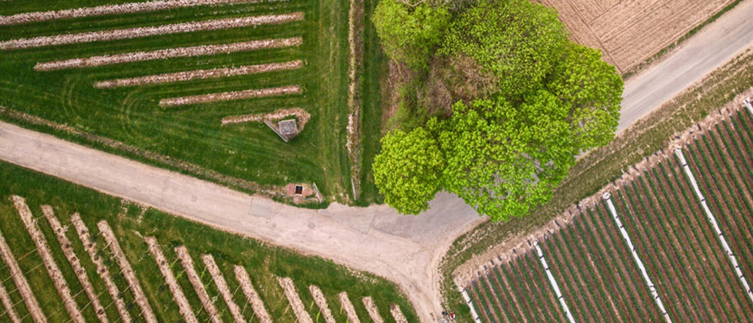 Check the potential of your land for free