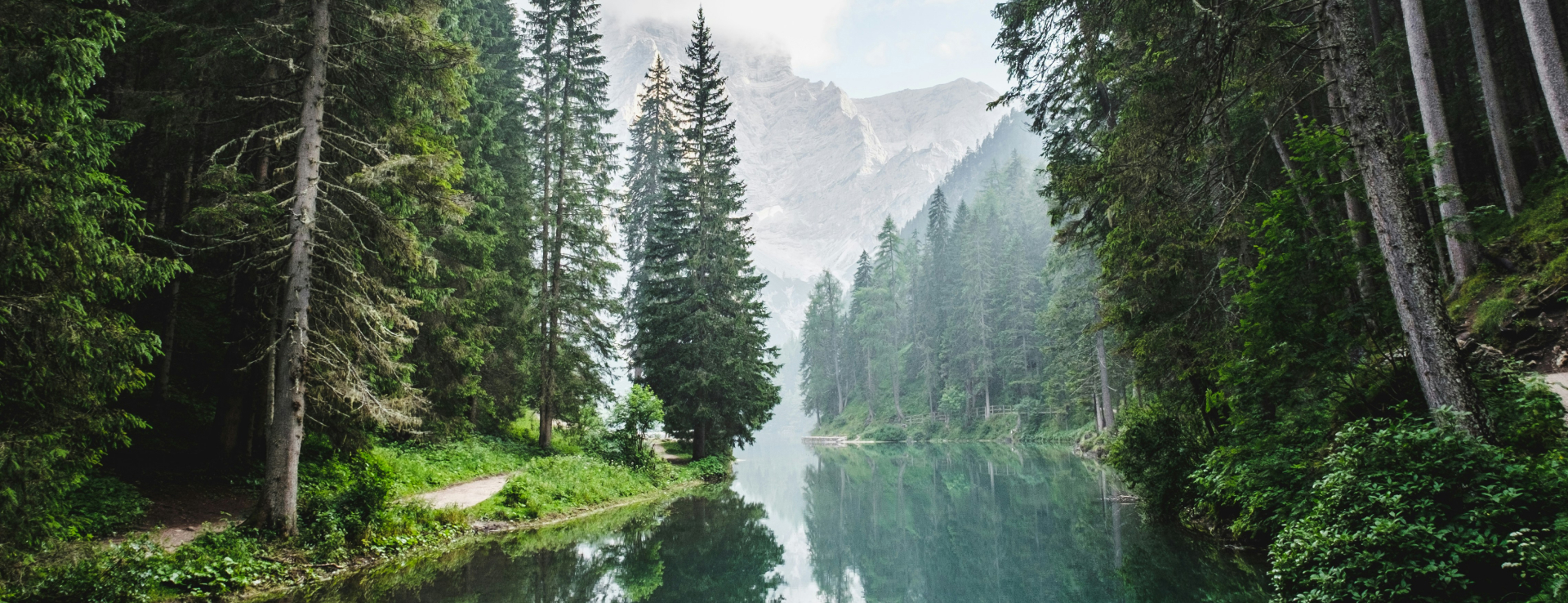 Jetzt starten und Ökopunkte sammeln